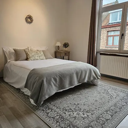 Die Scone Guestroom - Private House Experience In Central Bruges-3